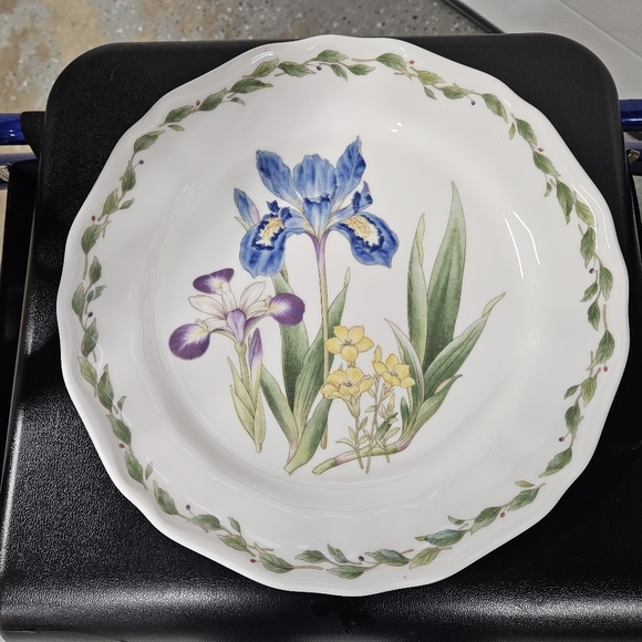 Noritake Casual Gourmet Garden Iris 10 3/4 inch Dinner Plate - Picture 1 of 3